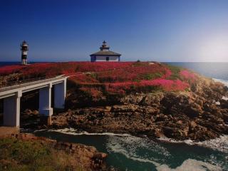 Apartamentos Shalom Ribadeo - 1