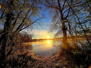 Lakeside Cottage - 7