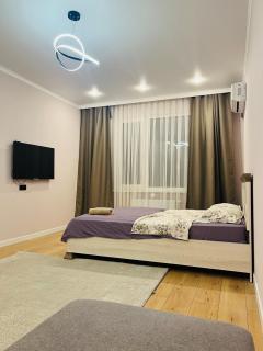 1-комнатная уютная квартира возле Хан-Шатыра - 4