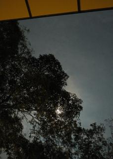 Kalm Cabin Phuket - 4