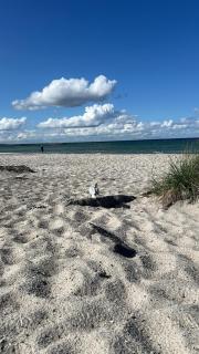 Meer-Moment Sand und Seele - 8