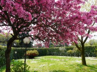 In Giardino B&B - Cassina deʼ Pecchi - 9