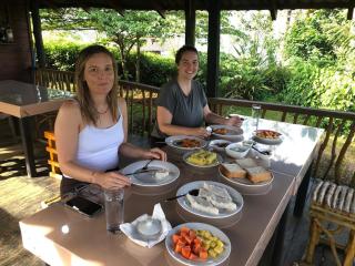 Misty Mountain- Sinharaja - 7