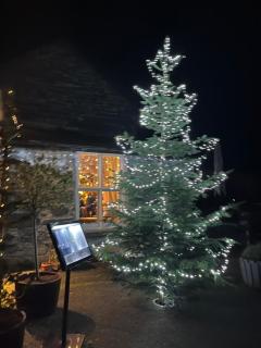 Pretty Snowdonia holiday home - 9