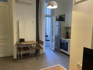 Central Apartment Toplica - 7