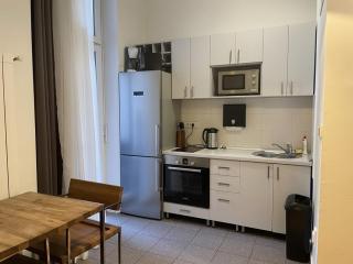 Central Apartment Toplica - 3