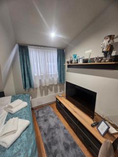 Nest 316 Bela Reka Kopaonik - 8