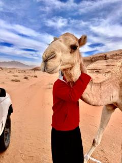 Rum Horizon Camp& Tours - 9