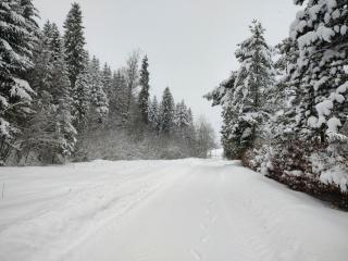 Szept - Biały Domek - 7