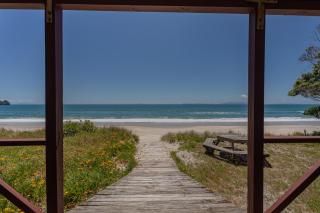 Poppy's Beach House - Beachfront Whangapoua Home - 8