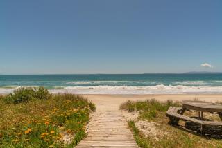 Poppy's Beach House - Beachfront Whangapoua Home - 7