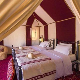 Desert Bloom Luxury Camp - 2