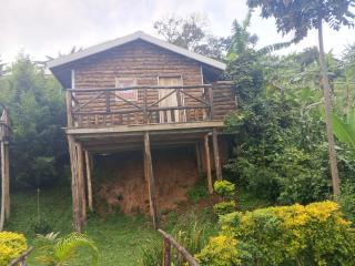 Weaver Bird Hostel - 9