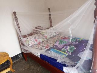 Weaver Bird Hostel - 8