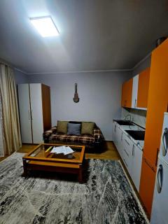 Вилла с видом на горы на побережье Иссык-Куля - 8