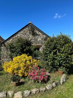 Family house with character, Large garden - 2