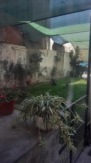 Apartamento acogedor para descansar - 6