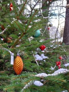 Privat-Zimmer in Hotel am Pfahl - 4