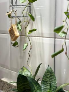 Nascimentos Flat - 0