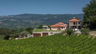 Luxury villa Edoardo with pool in Visinada - 3