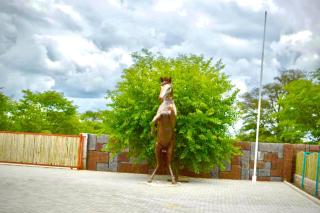 Makgadikgadi Riverview - 7