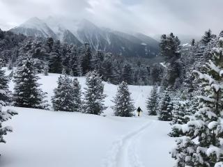 Alpenblick De Luxe - 2