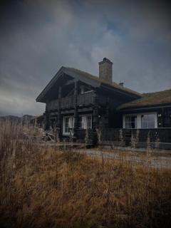 Great mountain cabin with 12 beds - 9