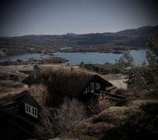 Great mountain cabin with 12 beds - 7