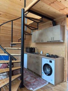 Cottage Korolistavi HillShade - 6