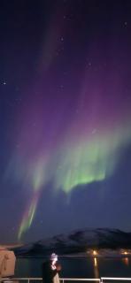 Senjavista, near nature, sea and mighty mountains - 7