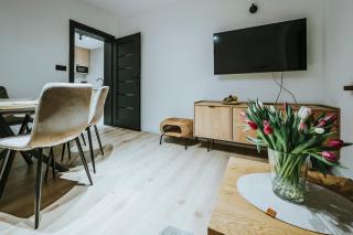 VisitZakopane - Paris Apartment - 2