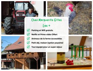 Insolit'appart à la ferme - 8