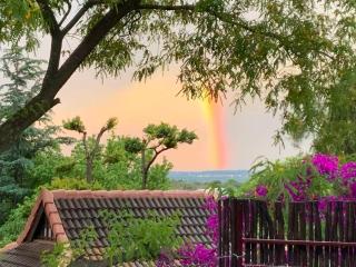 Oasis On Lily with OWN Pool - 7