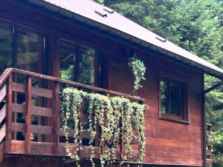 Chalet : le moulin du sagard - 9