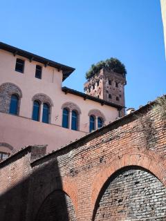 Casa Belle - Vista Giardini Museo Guinigi - 6