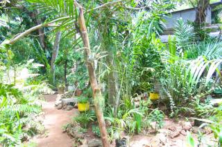 Bokoboko Porini Restaurant - 5