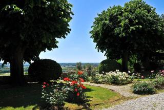 Sogno - Villa Cenami - big POOL with view - 5