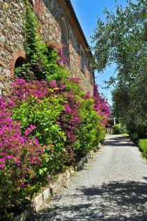 Nuvola - Villa Cenami - big POOL with view - 6