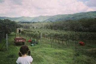 Fantastic Apartment in the Heart of Toscana - 3