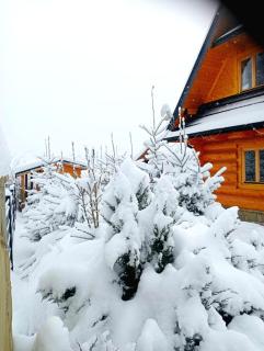 Domek drewniany - Czerwienne - Czerwienne - 0