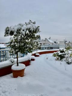 Rooftop City Residence with Underground Parking - 8
