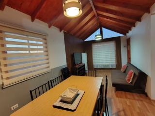 Cabaña lagunillas - 5