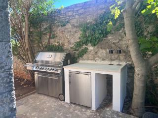 Villa Istrian garden - 1