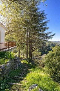 Forest Park Villa - 8