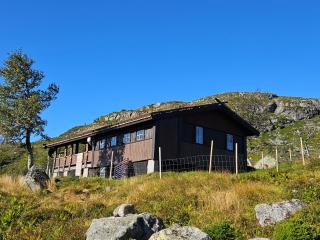 Magic View - Unspoiled nature - Summer mountain pasture with goats - 7