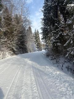 apartament u Irenki - 8