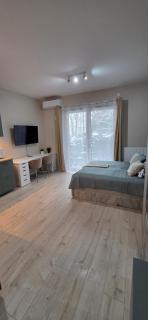 Fairytales Apartment Czysta III - 1