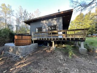 BUHO Cabin Cypress BBQ Smart TV Wood Hot Tub - 2