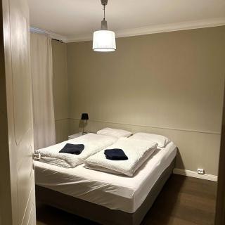 Downtown 3-bedroom apartment - 4