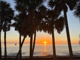 海湾景观休闲独立屋可垂钓靠近达利博物馆 - 8